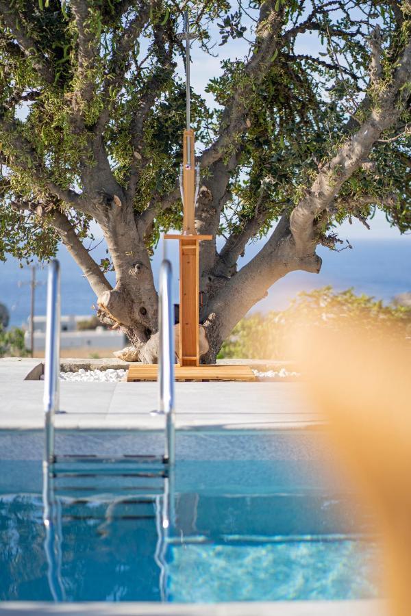Santa Marina Syros Villa Liaropa Ngoại thất bức ảnh